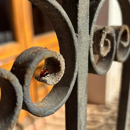 Cal Capdevila منزل ريفي