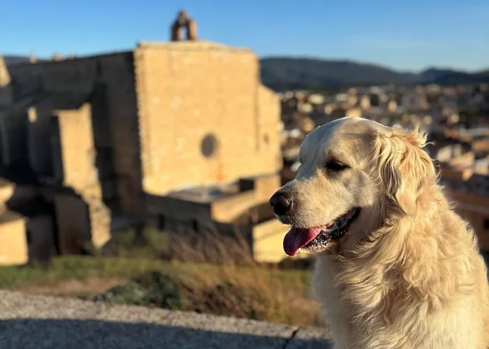 Cal Capdevila