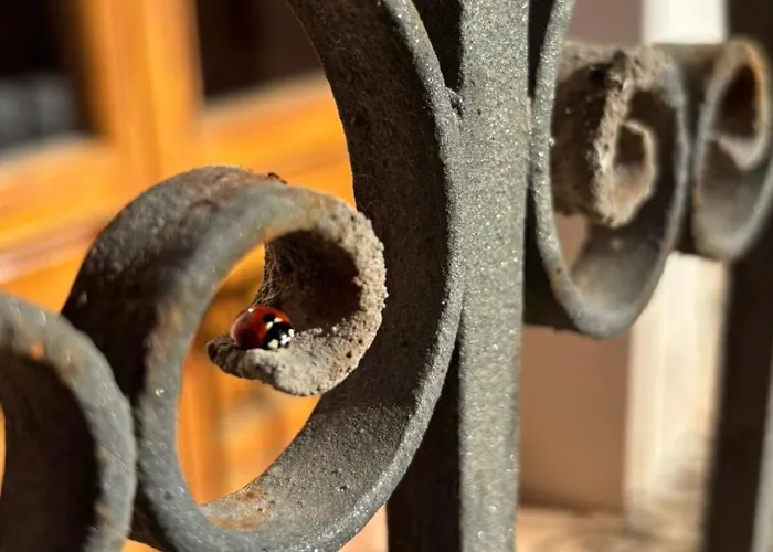 Cal Capdevila 乡村民宿